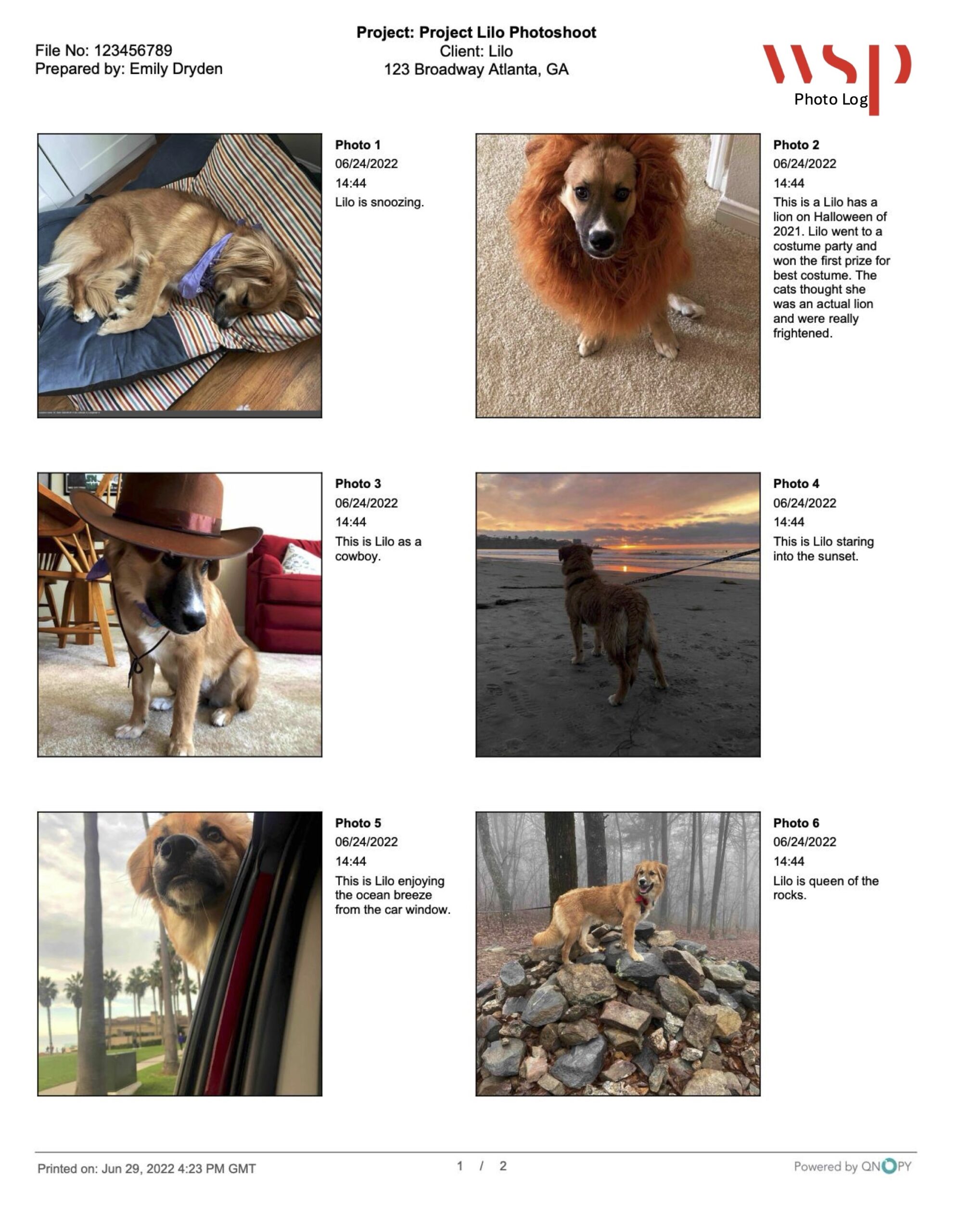 photo log photo log